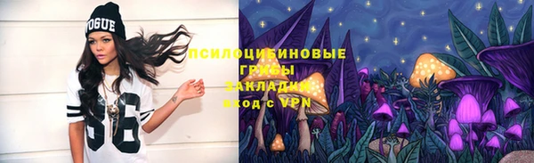 ешки Сатка