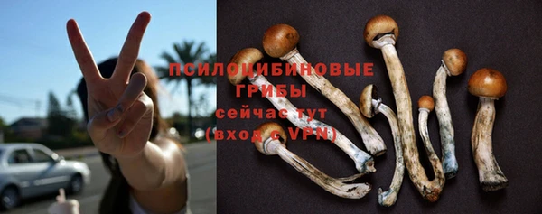 сатива Костерёво