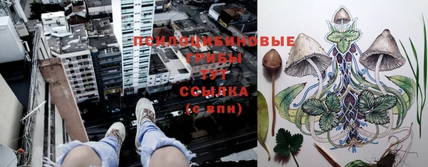 дживик Абинск