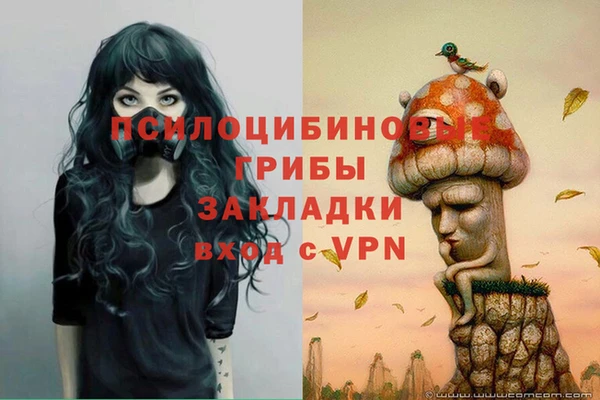 марки lsd Коряжма