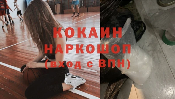 сатива Костерёво