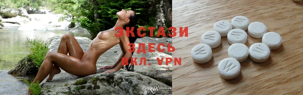 сатива Костерёво