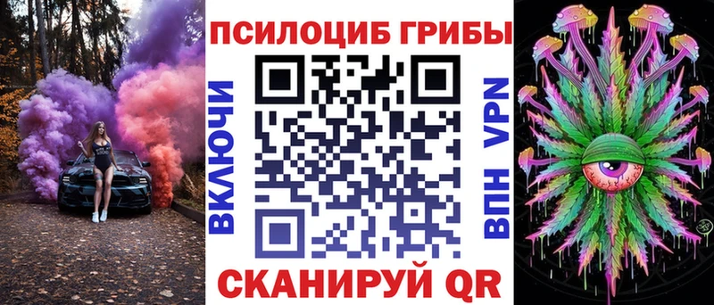 блэк спрут как зайти  Талица  Псилоцибиновые грибы Cubensis 
